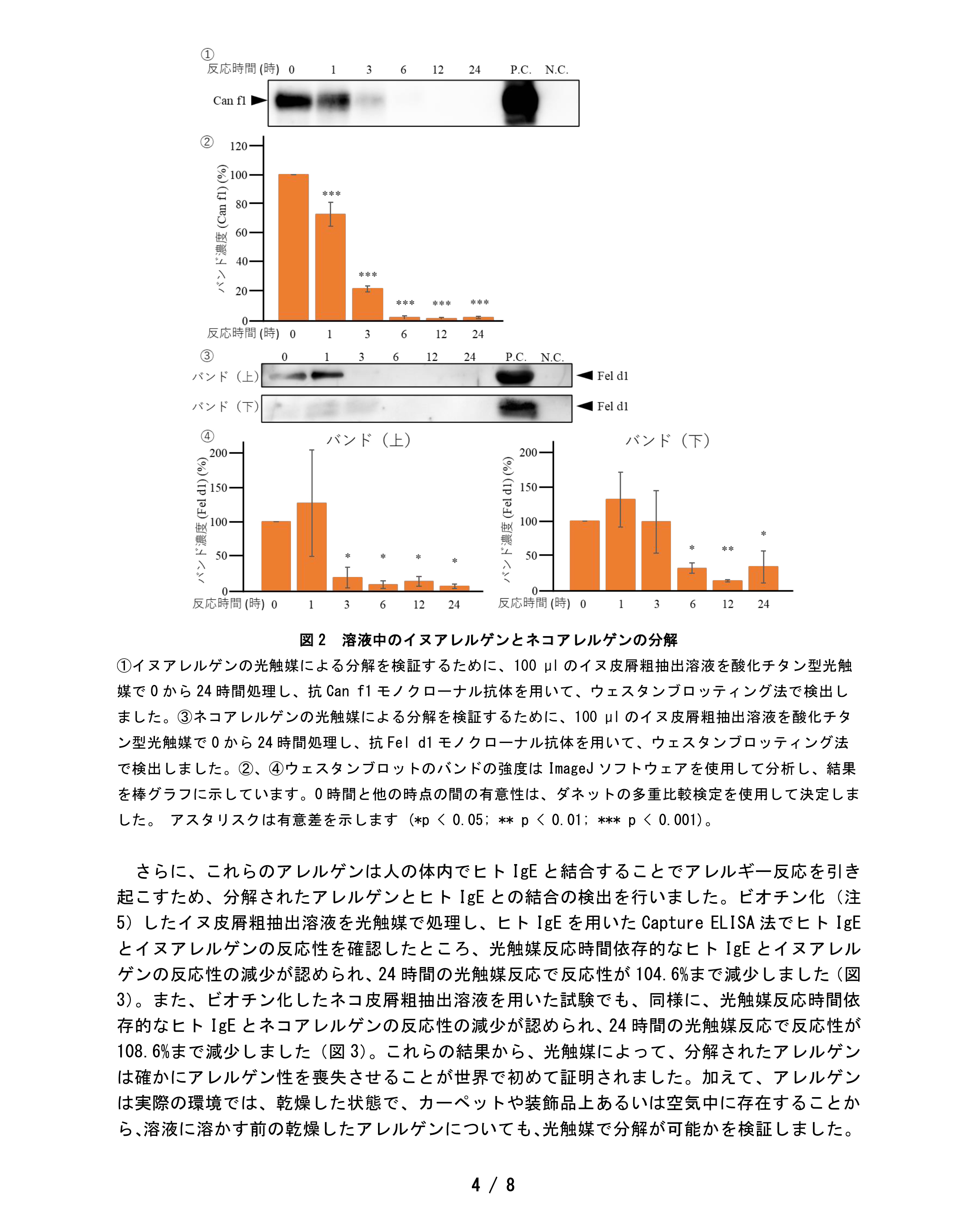 記事情報