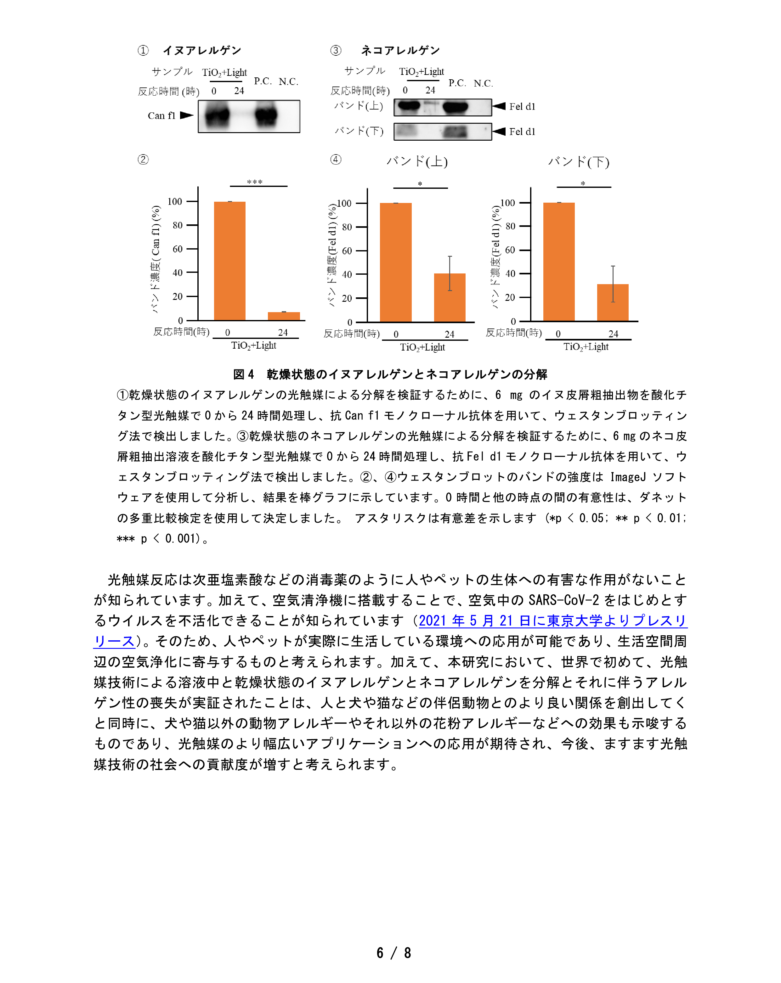 記事情報