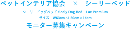 モニター募集キャンペーン①（Sealy Dog Bed）