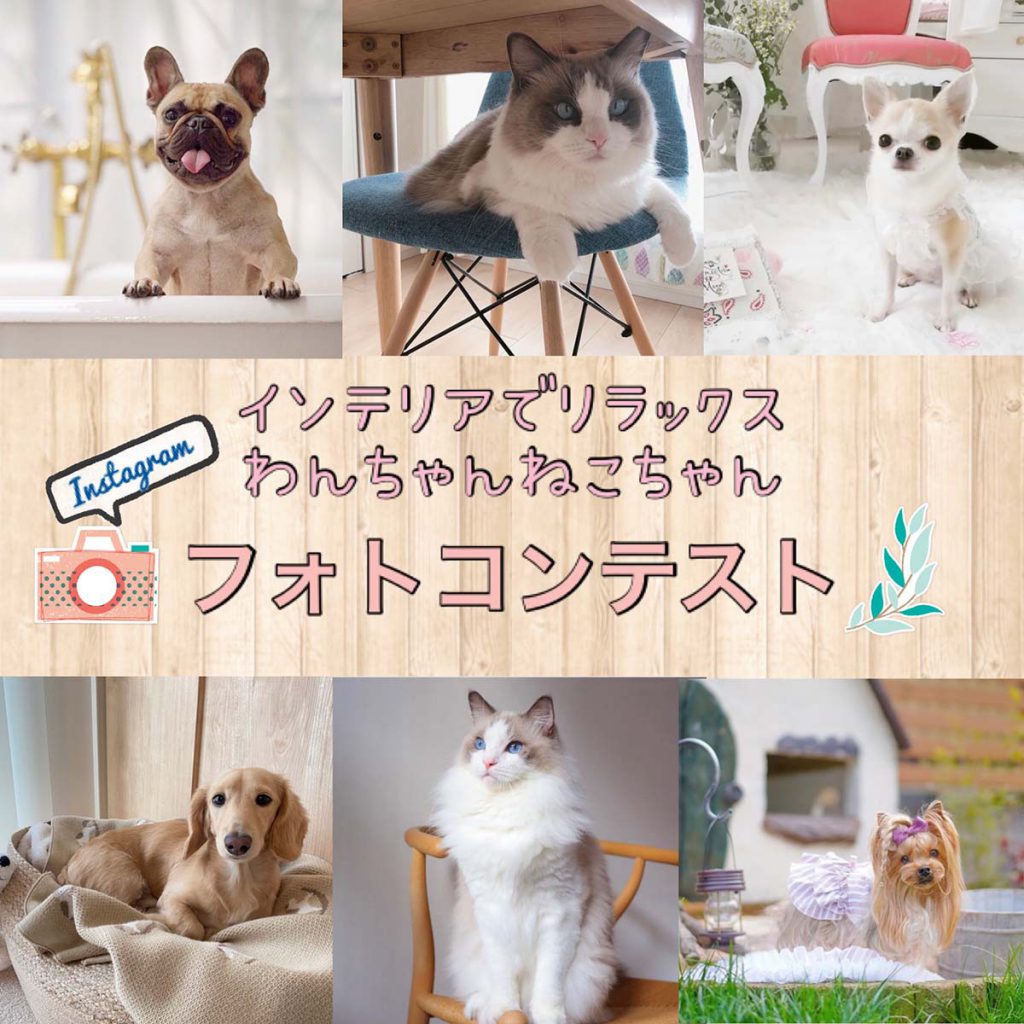 フォトコンテスト開催のお知らせ