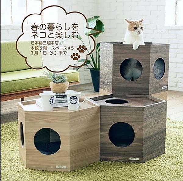 日本橋三越本店で「フランスペット」展示中！