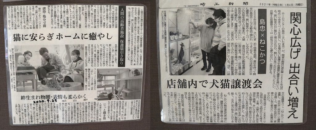 保護猫カフェ「ねこかつ」が目指す猫との共存とは。