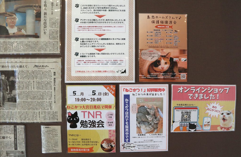 保護猫カフェ「ねこかつ」が目指す猫との共存とは。