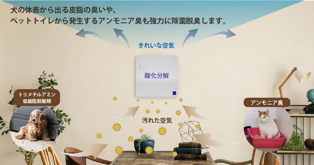 カルテックKL-WC01モニター募集のお知らせ