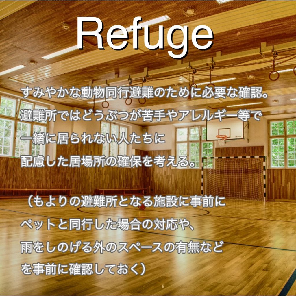 ペット防災に必要な3つのR（Refugeとは）
