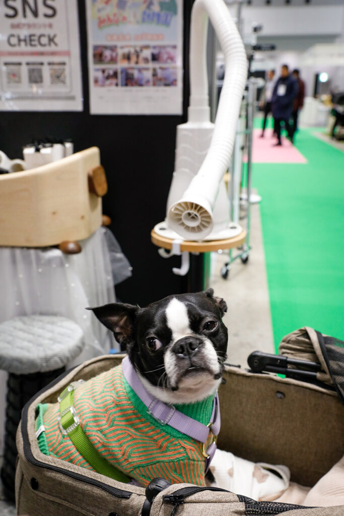 ペットインテリア展　展示会場