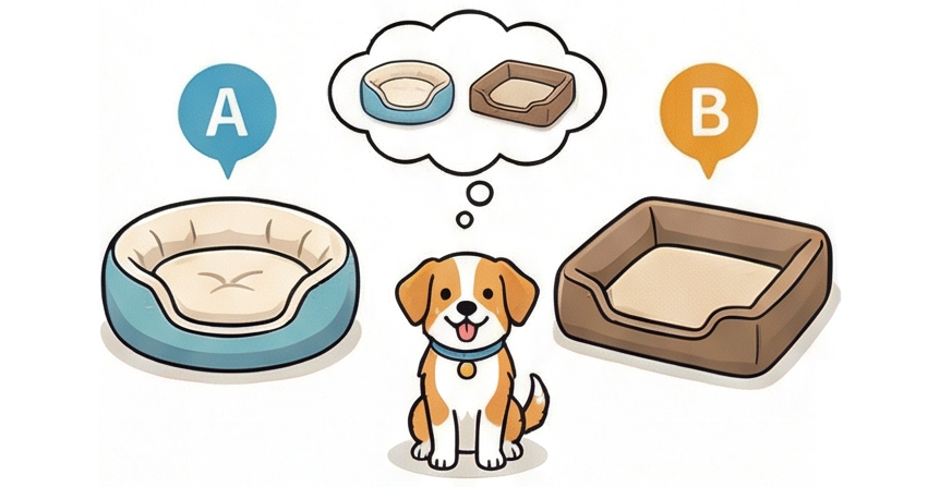 選択肢がなく仕方なくその場所を使っている様子と、2つの選択肢から好みの場所を選んでいる（二者択一試験）様子の比較イラスト