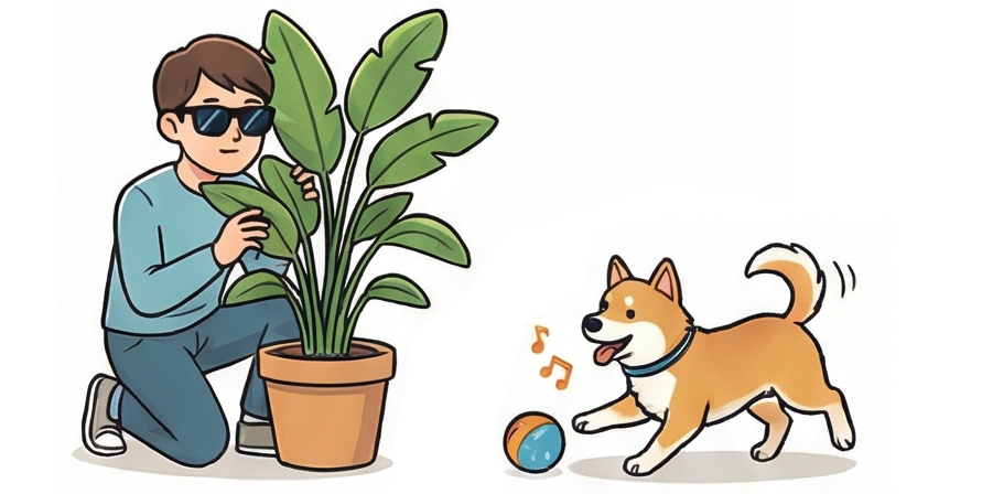 飼い主の視線を読み取ってしまう『賢い馬ハンス効果』を防ぐため、サングラスや衝立（ついたて）を使って人の気配を消している実験の様子