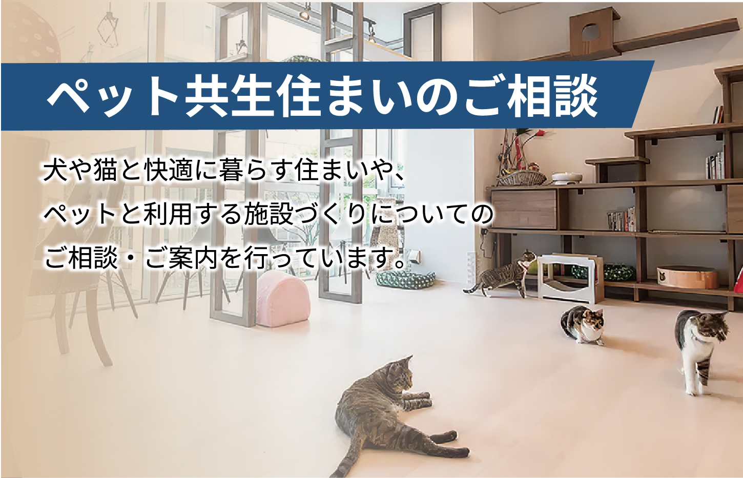 ペット共生住まいのご相談について